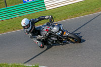PJ-Motorsport-Photography-2018;enduro-digital-images;event-digital-images;eventdigitalimages;mallory-park;mallory-park-photographs;mallory-park-trackday;mallory-park-trackday-photographs;no-limits-trackdays;peter-wileman-photography;racing-digital-images;trackday-digital-images;trackday-photos